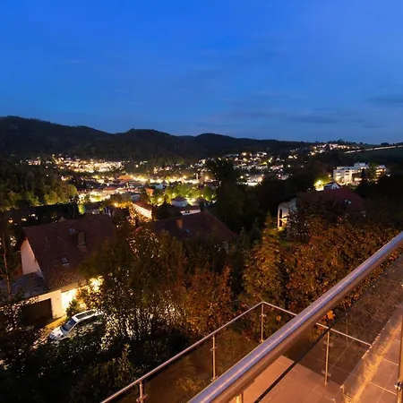 Harz Living - Mit Traumblick Apartment *