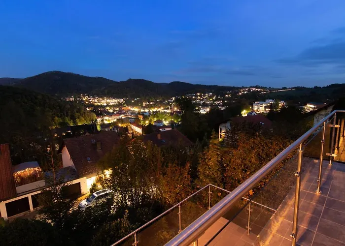 Harz Living - Mit Traumblick 公寓 *