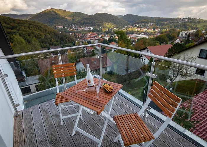 公寓 Harz Living - Mit Traumblick