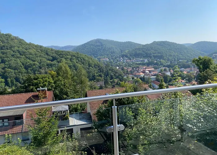 Harz Living - Mit Traumblick 公寓